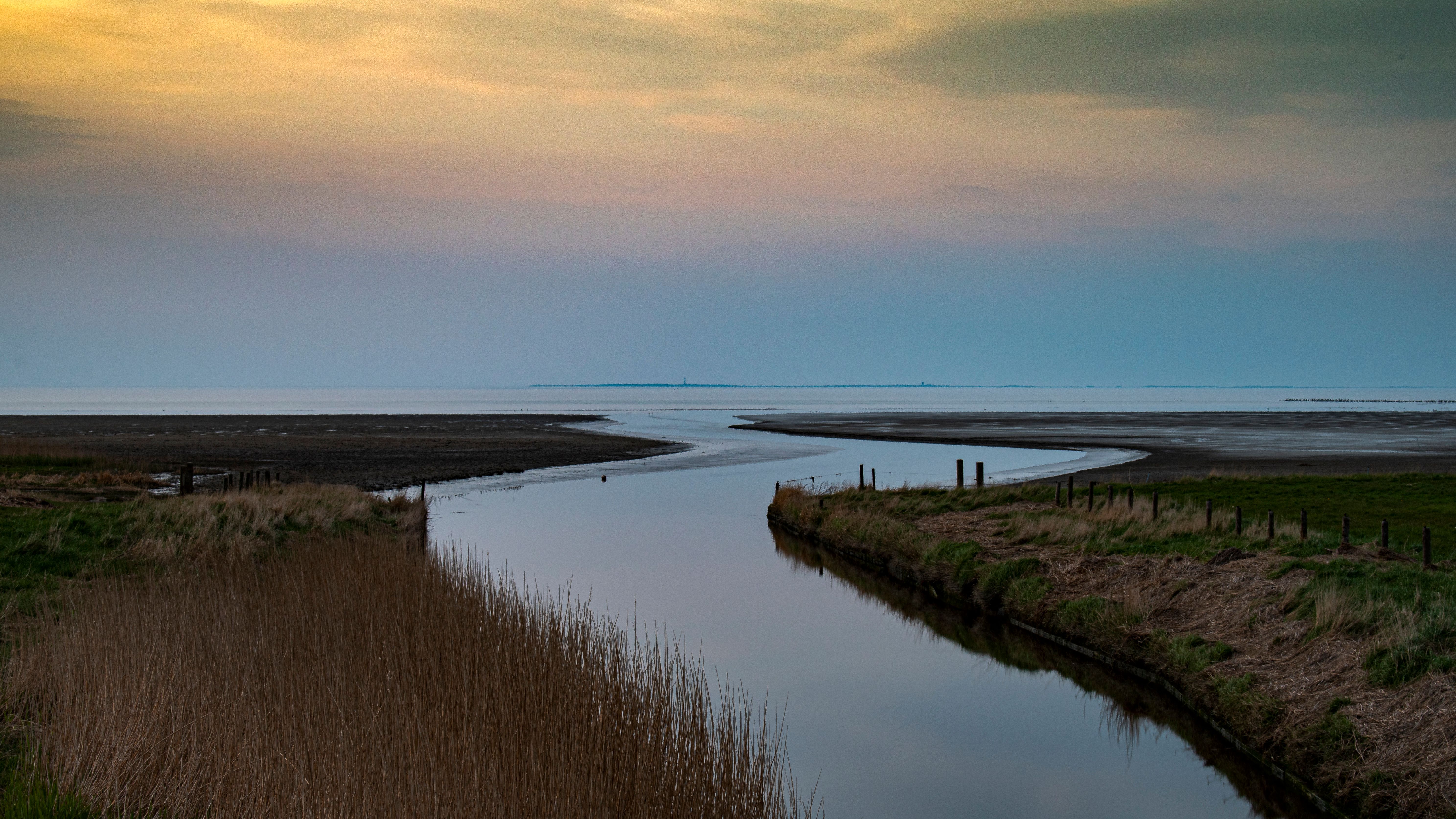 Zwarte haan — Photo by rarekwibus.nl
