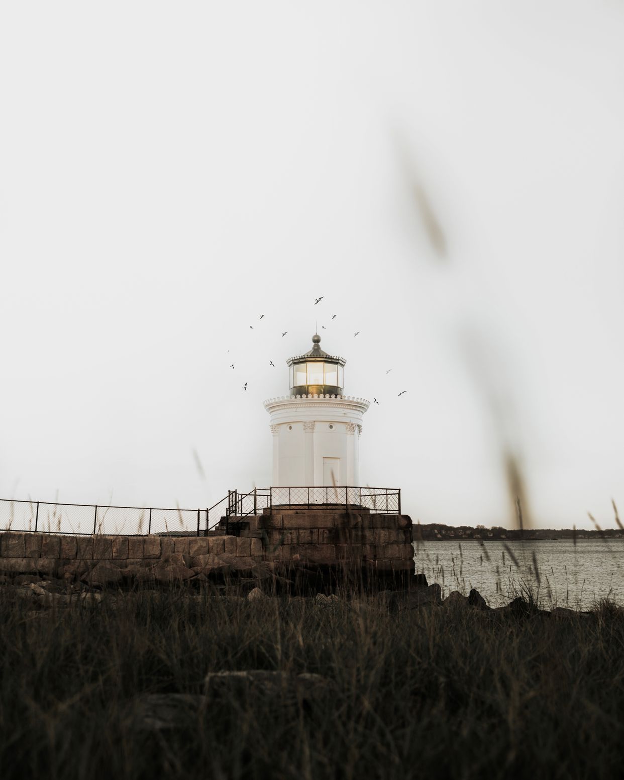Bug Light