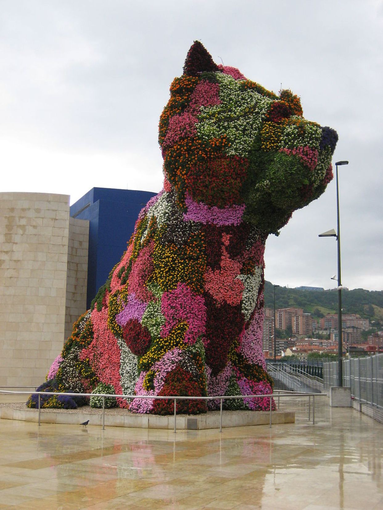 Guggenheim Puppy