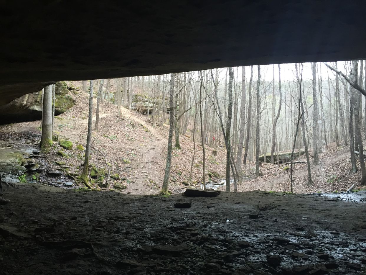 Cane Creek Canyon