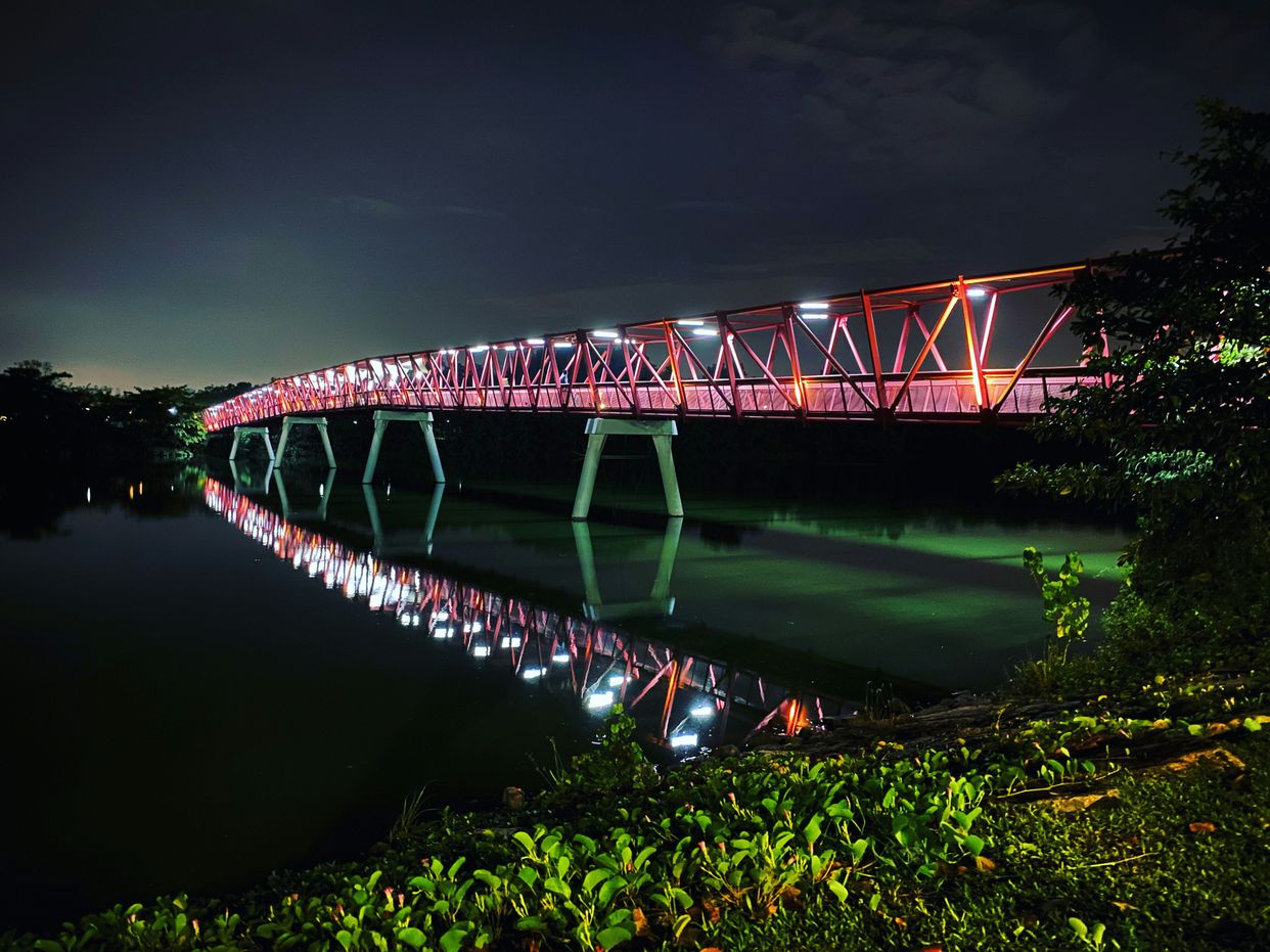 Lorong Halus Bridge