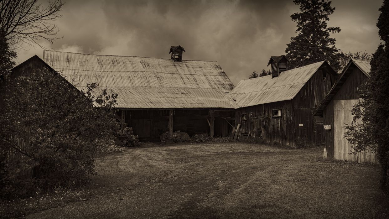 Old Barns