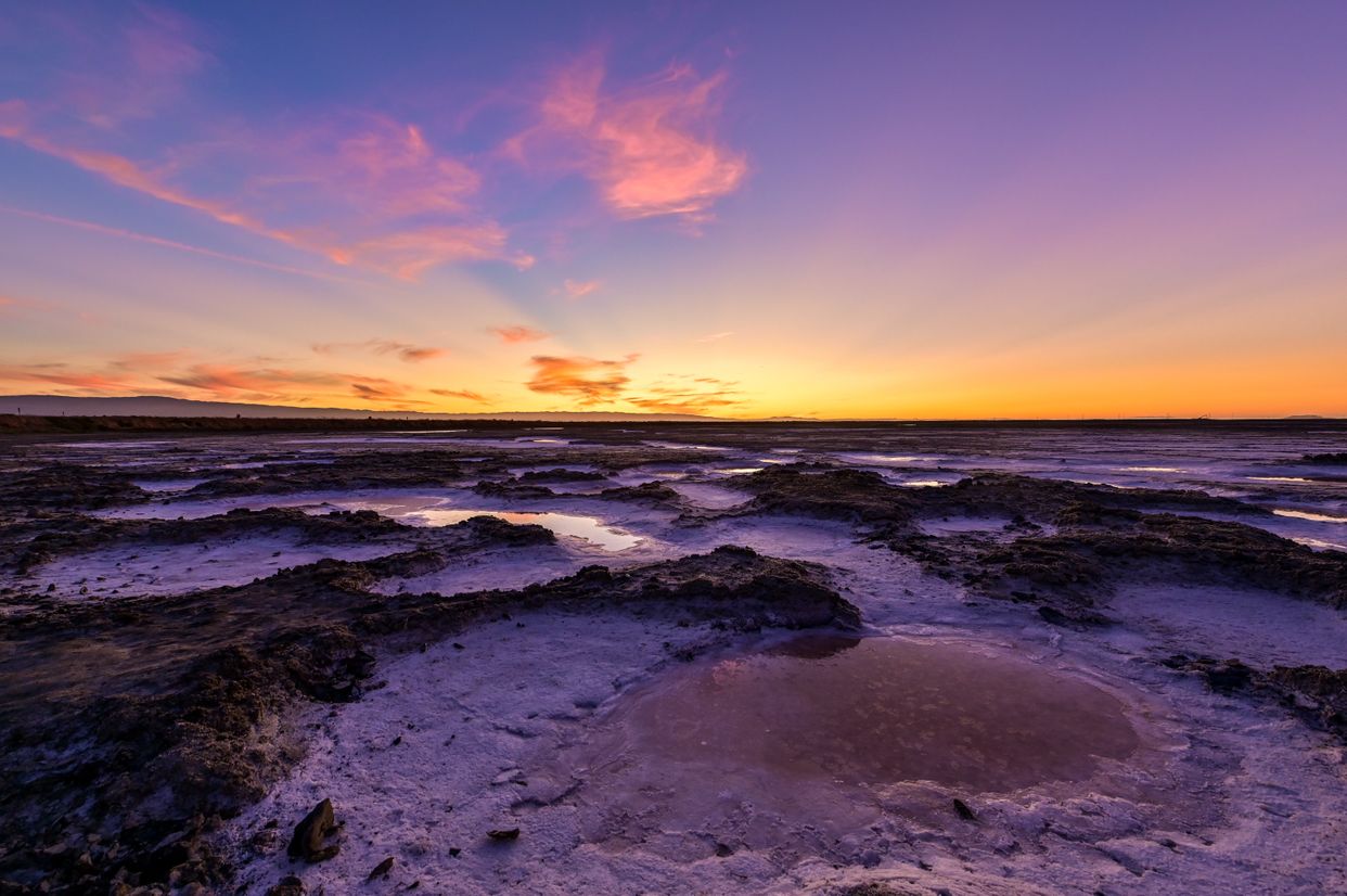 Alviso Marina County Park Salt Pond