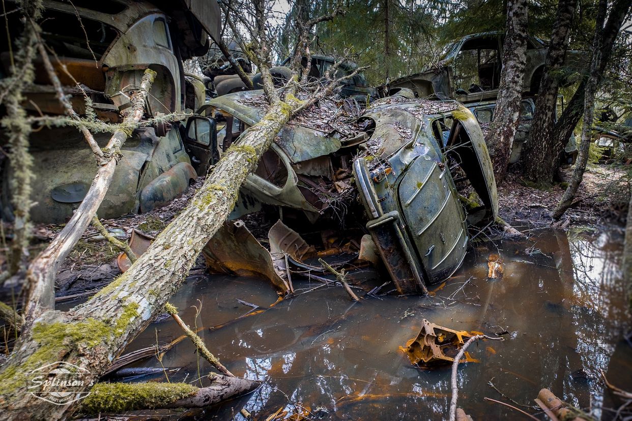 Båstnäs Car Cemetery