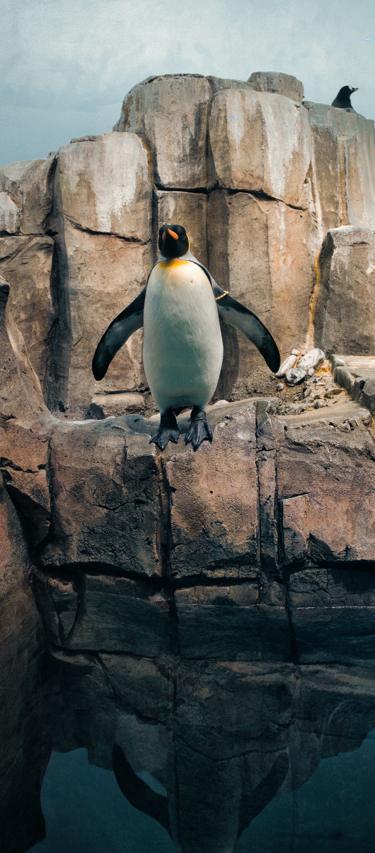 Biodome