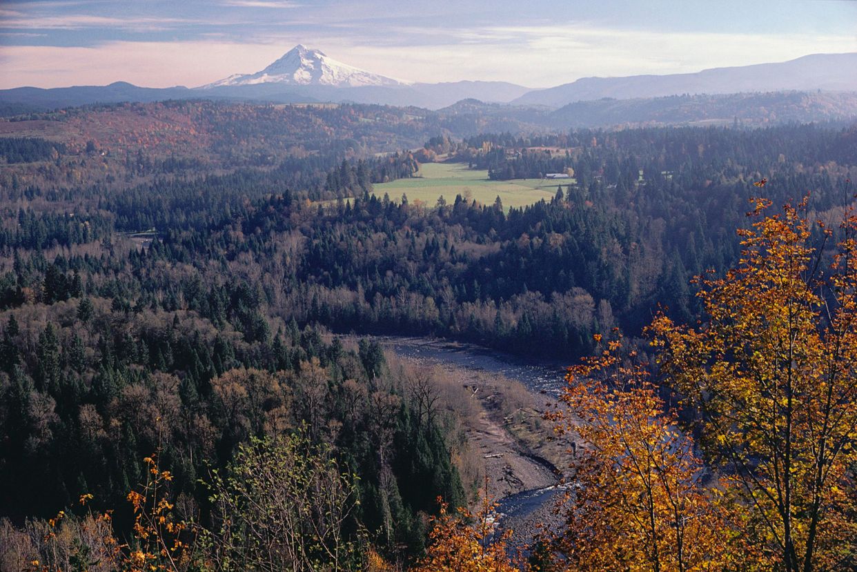 Jonsrud Viewpoint