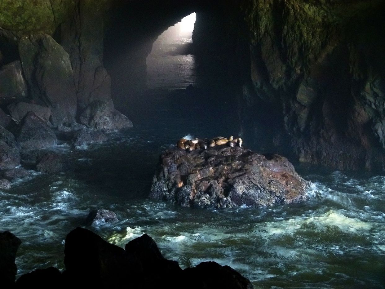 Sea Lion Caves