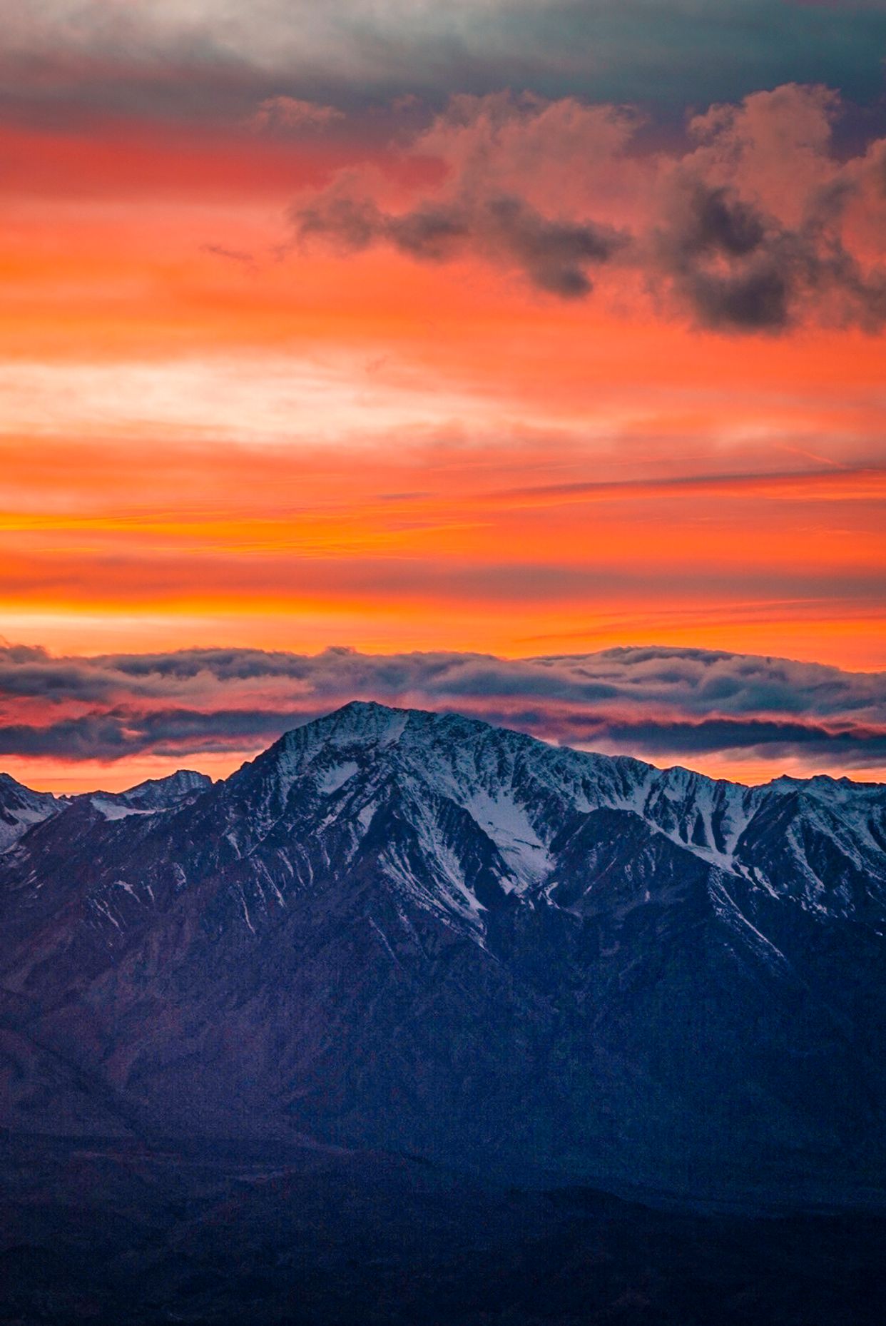Silver Peak