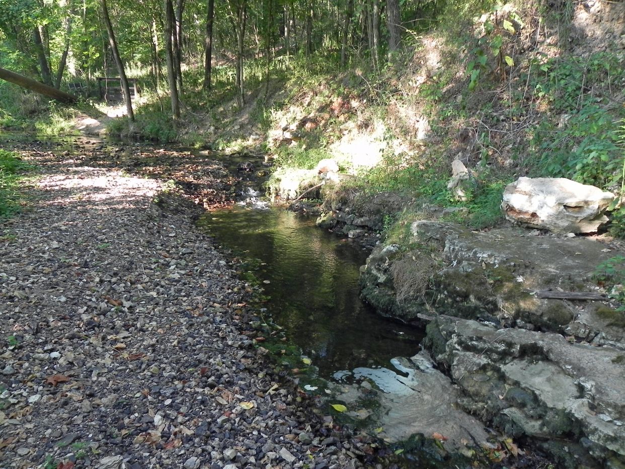 Disappearing Stream