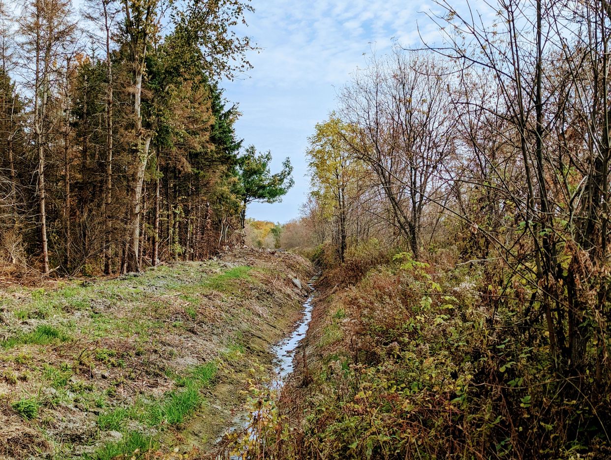 Prescott-Russell Trail Link