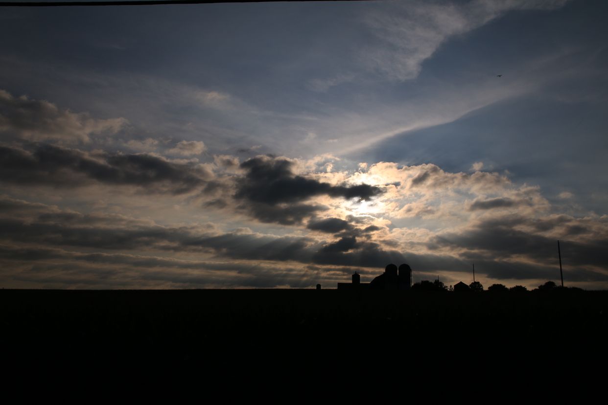 Elmira Farm 