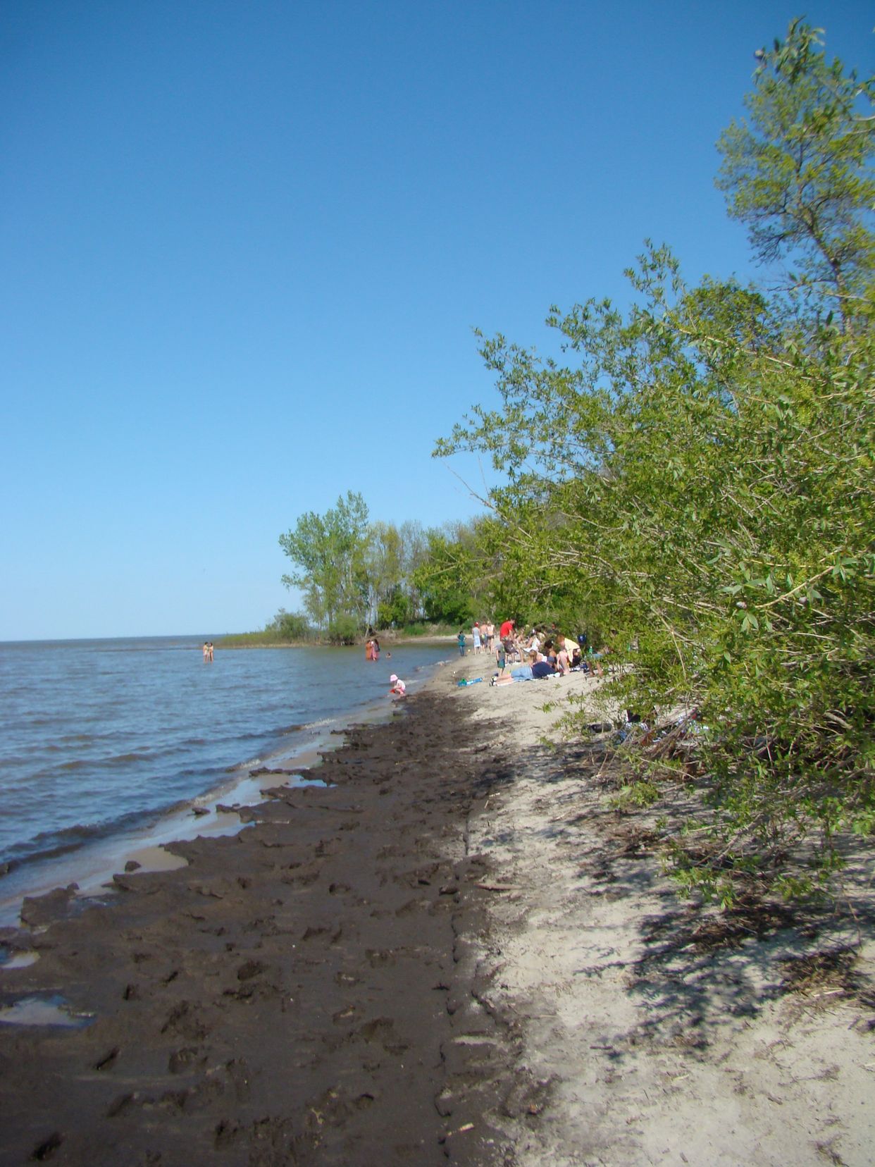 Delta Beach 