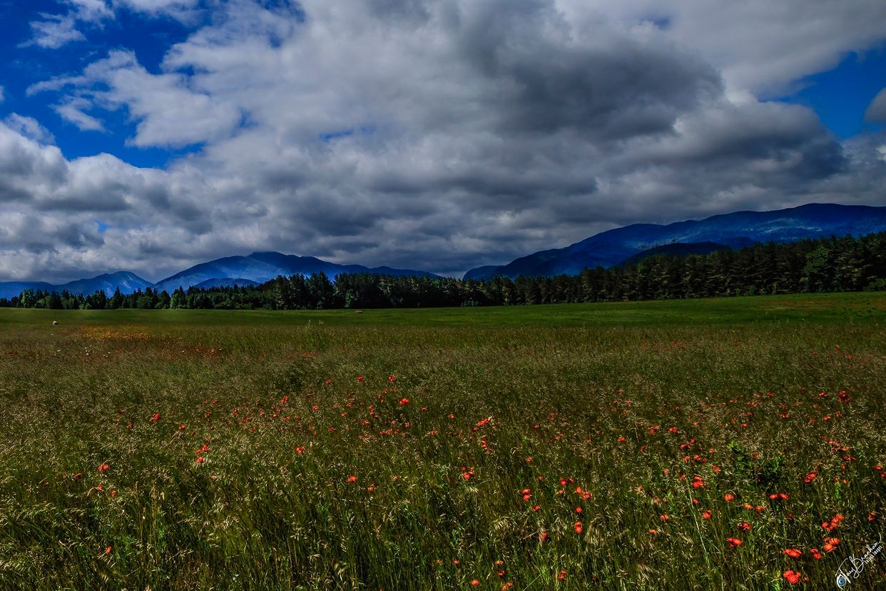 Scenic Countryside - Photo by Terry Branham