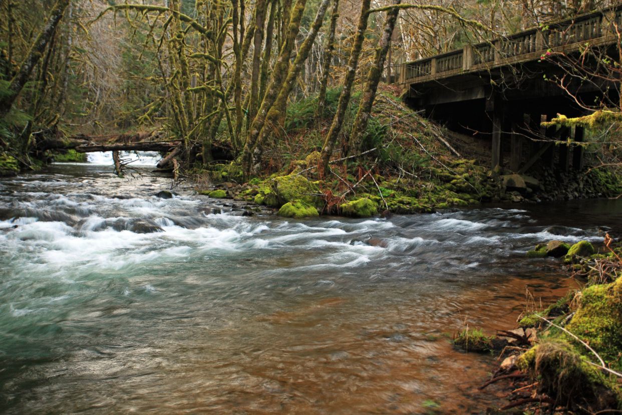 Humbug Creeks