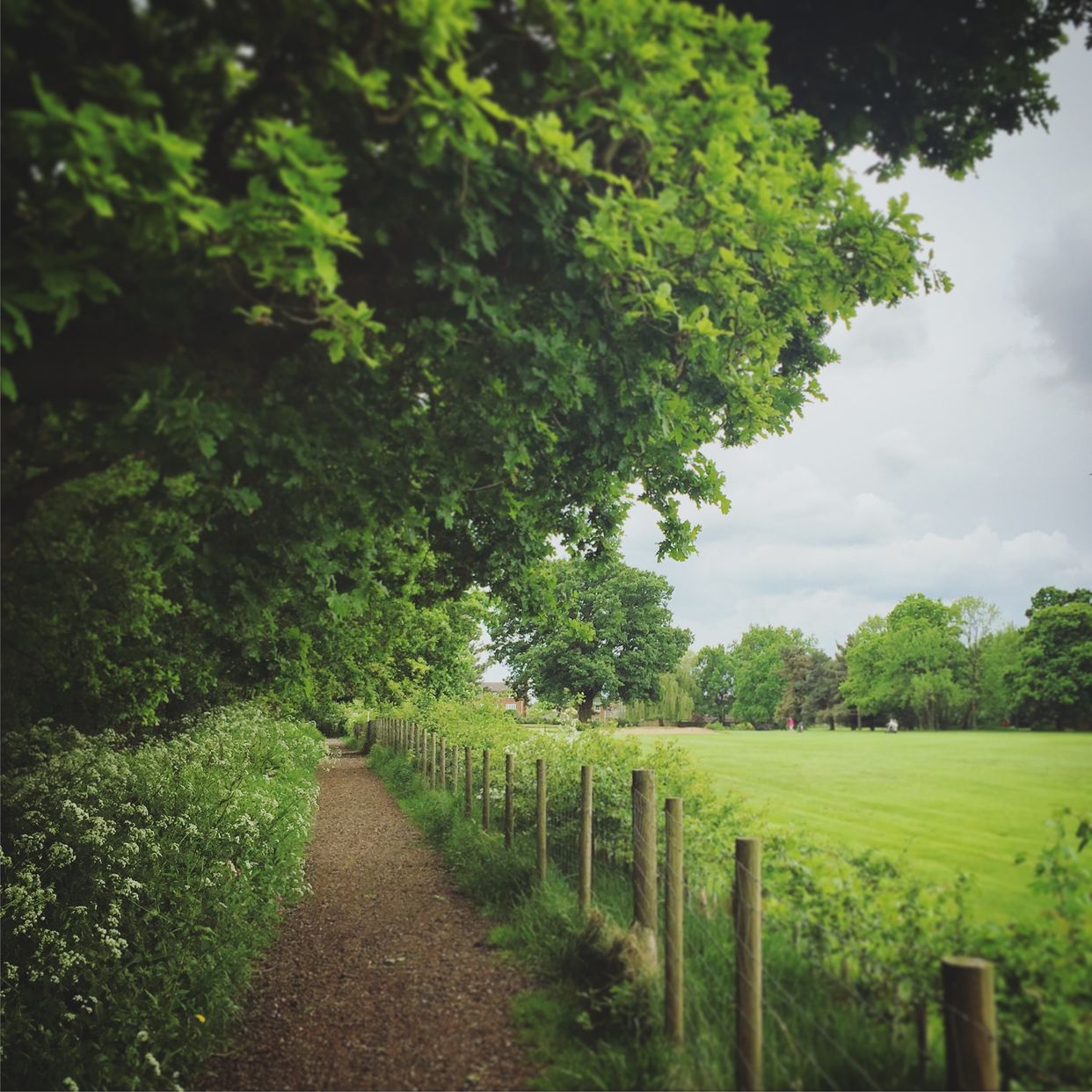 Countryside Footpath