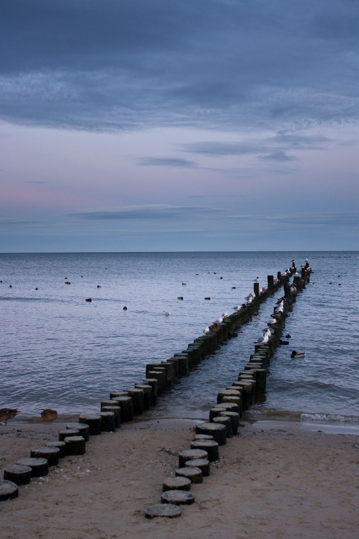 Strand Heringsdorf