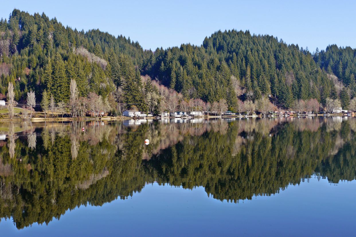 Triangle Lake