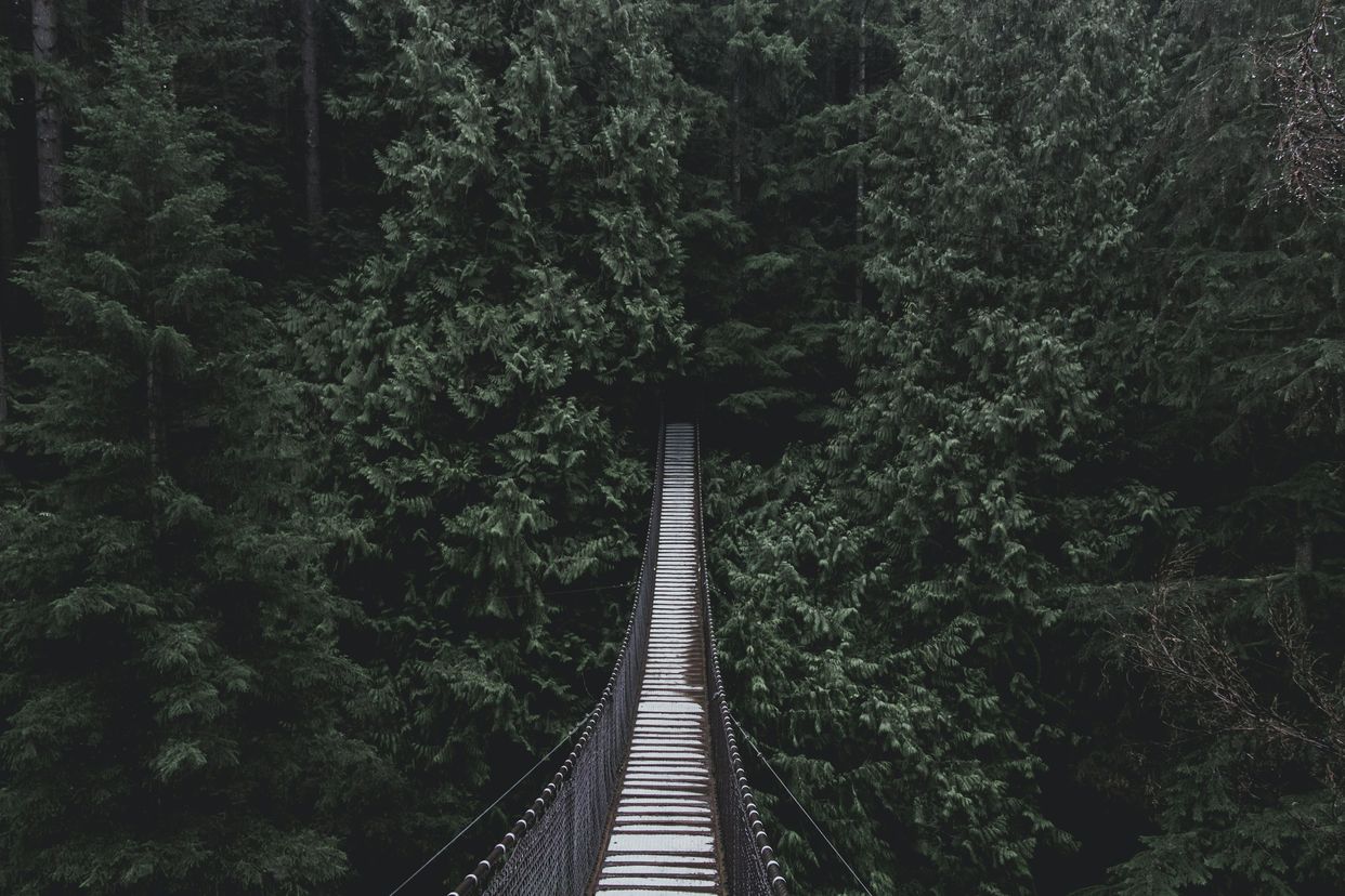 Lynn Canyon Suspension Bridge