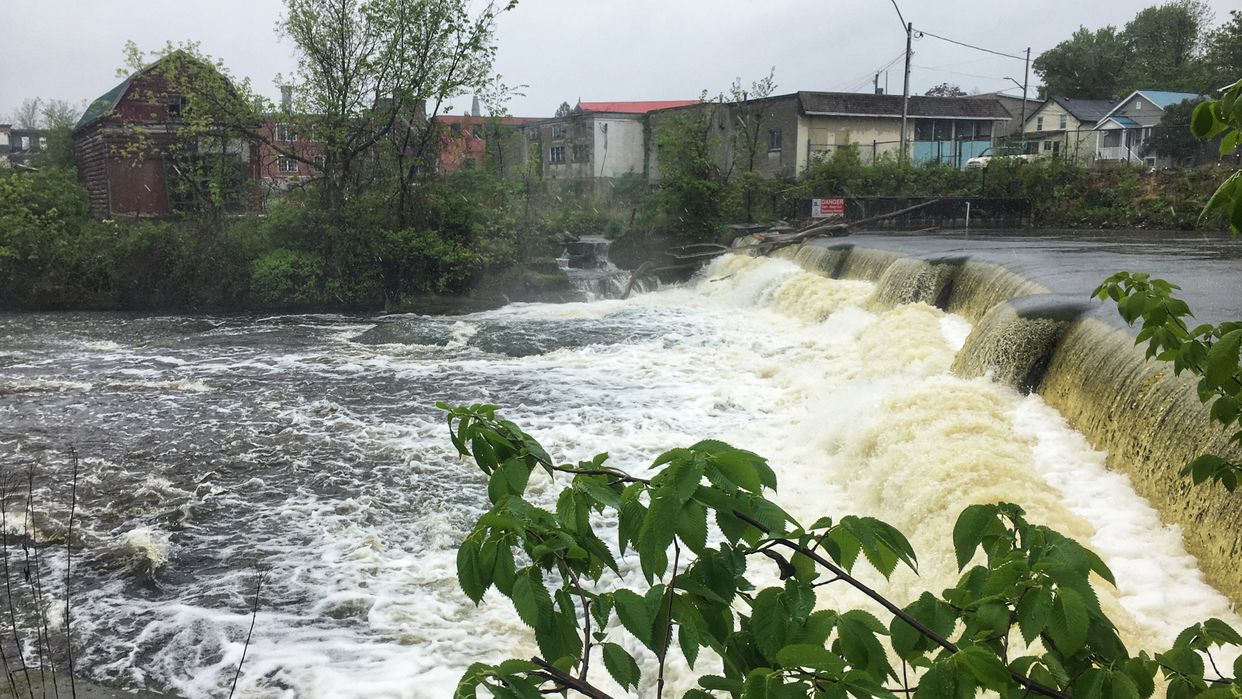 Napanee Mills