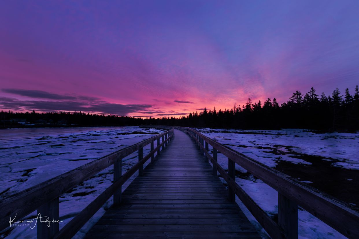 Rissers Beach Boardwalk