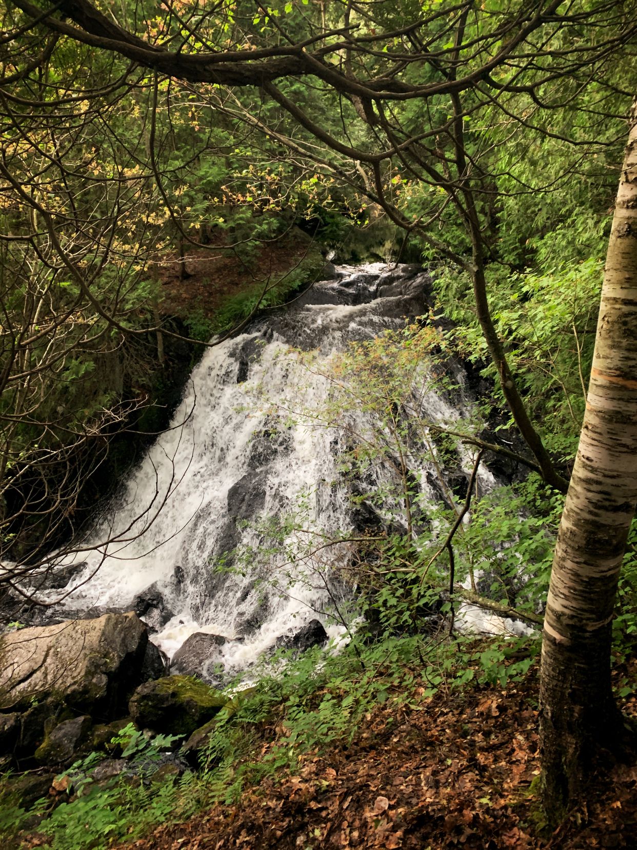 Rathbun Lake Waterfall