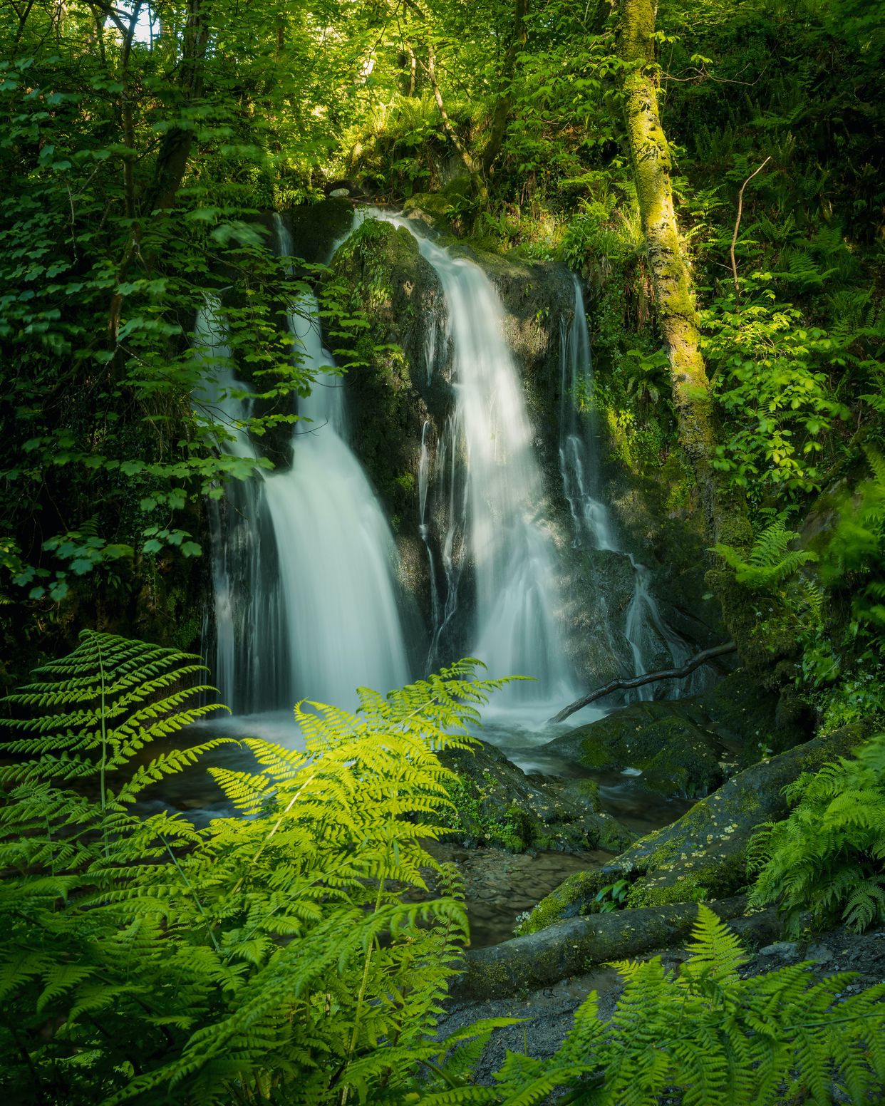 Aberfforest Waterfall