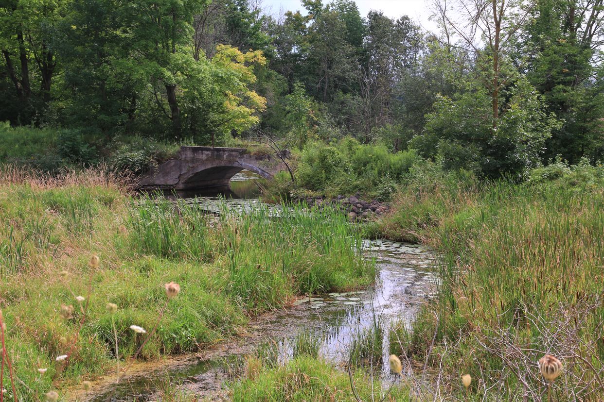 Old Abandoned Bridge