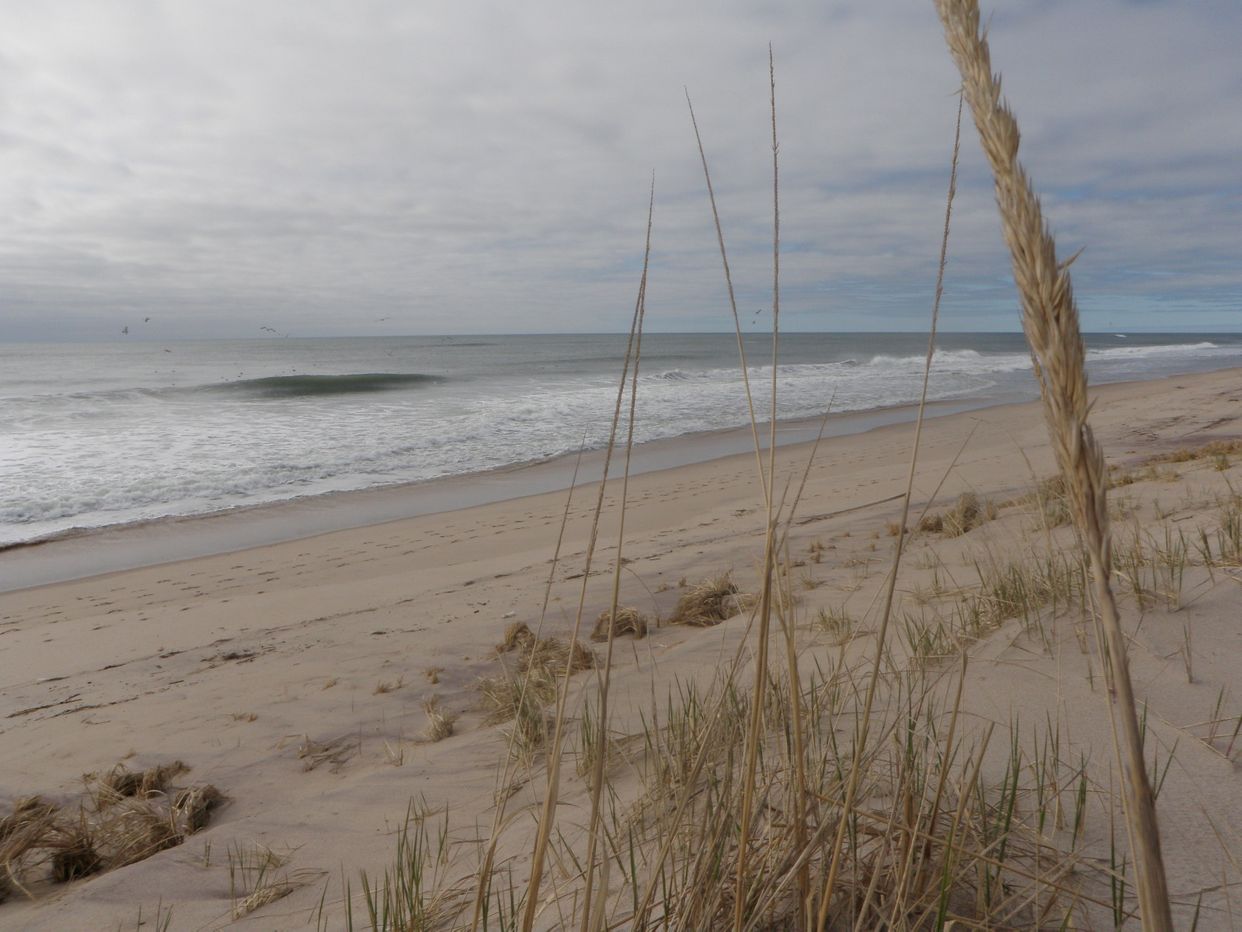 Amagansett National Wildlife Refuge