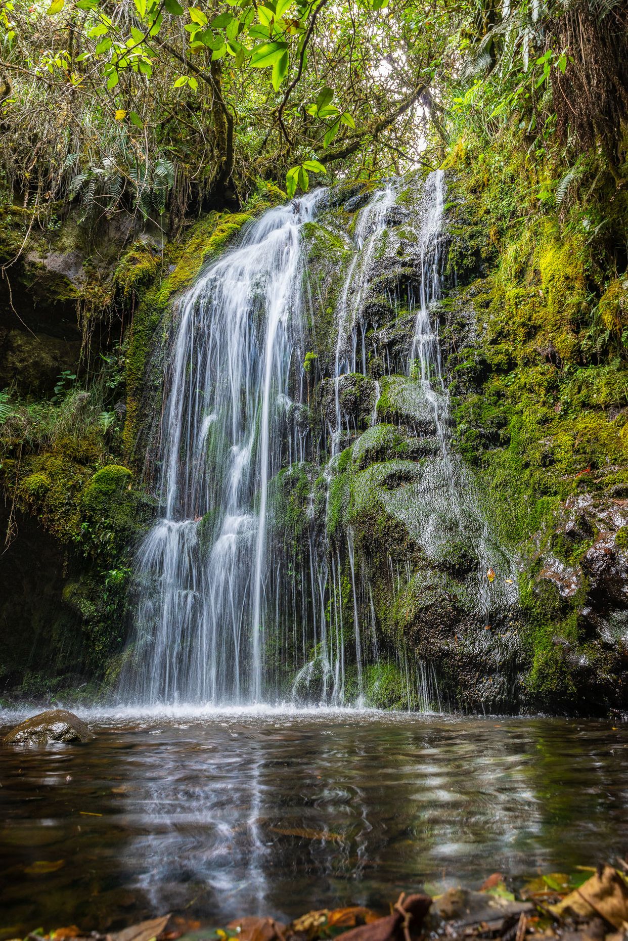 Sachacuy Waterfall