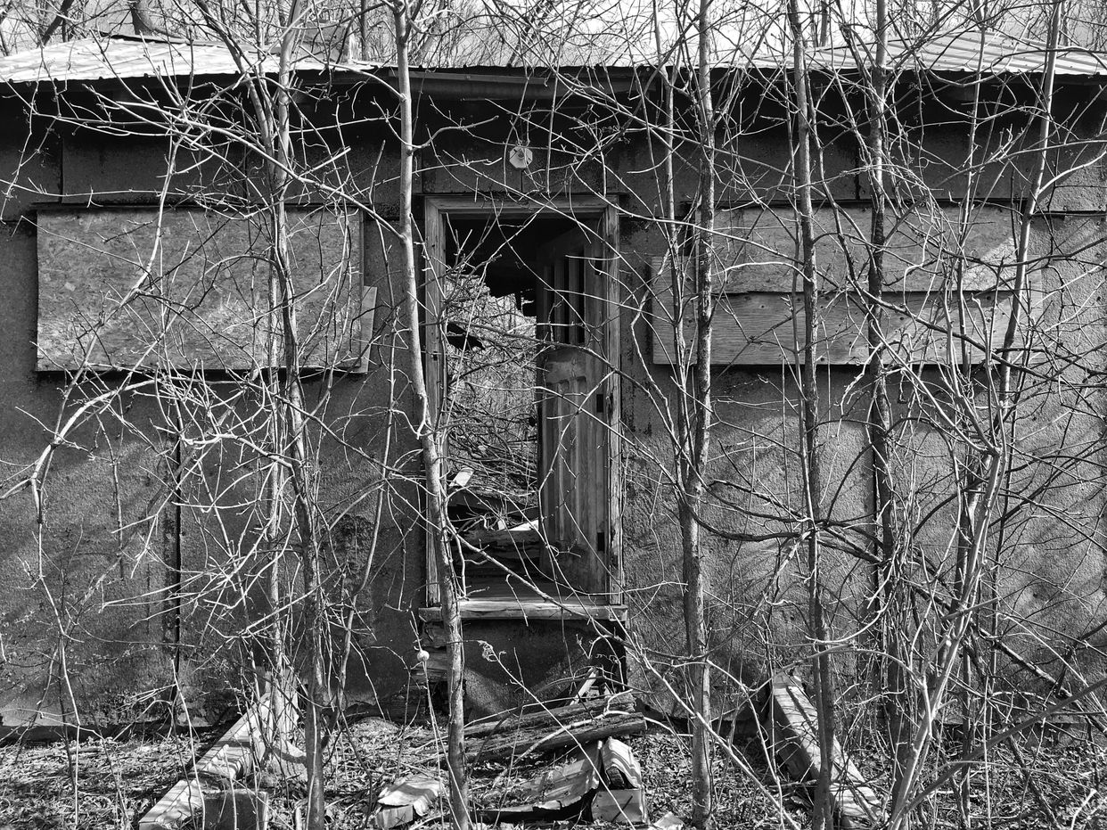 Abandoned Shack