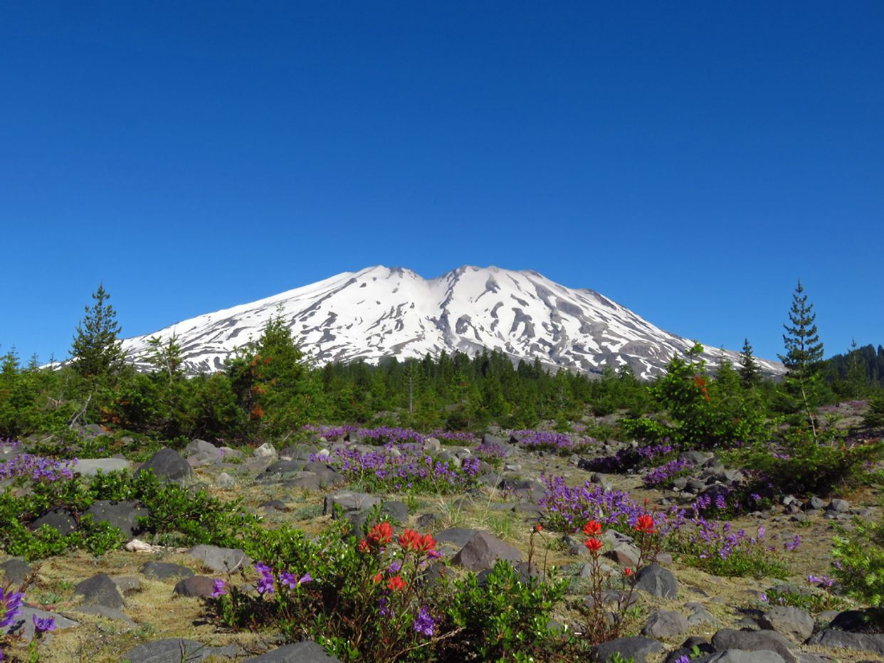 Lahar Viewpoint