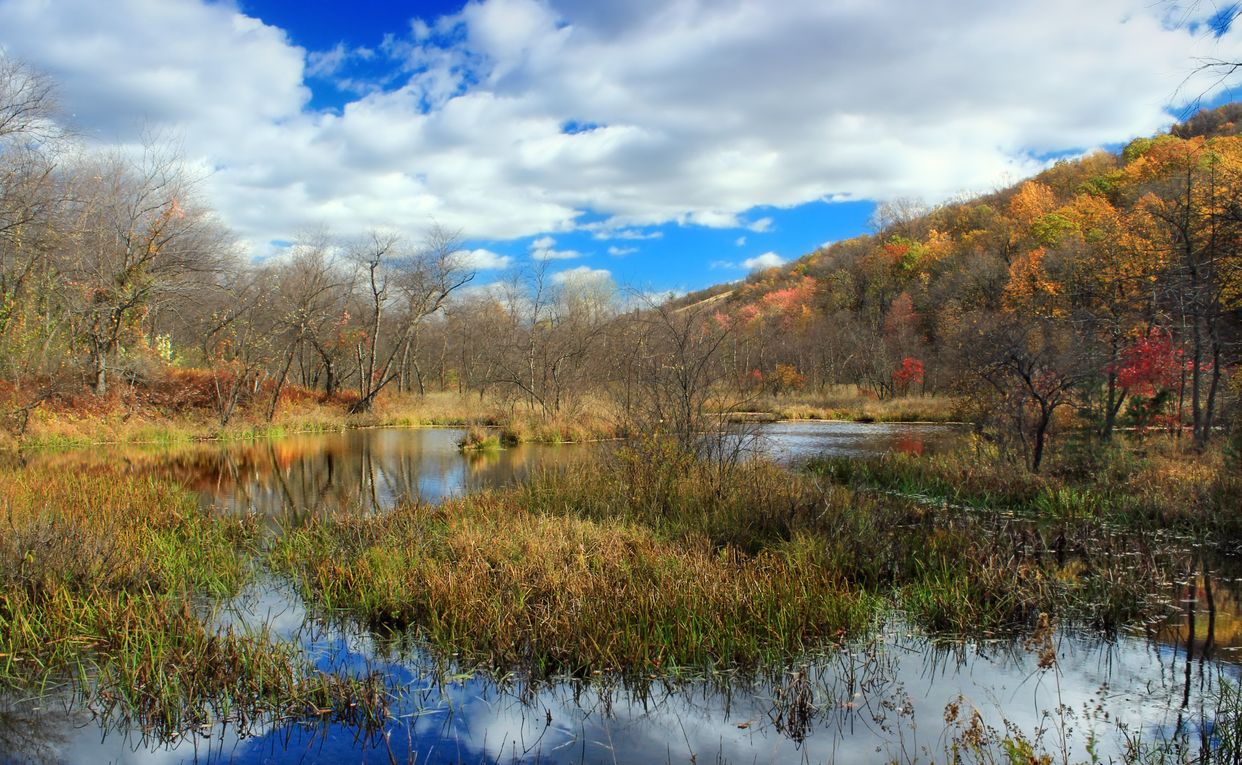 3 Ponds Trail View