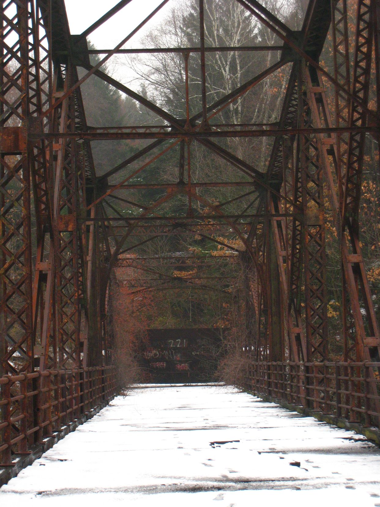 Schell Bridge