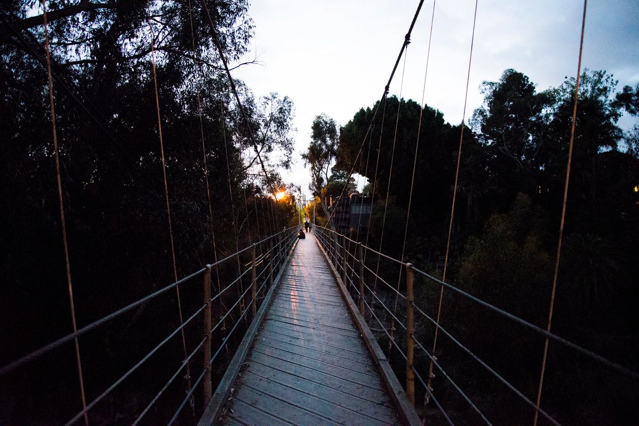 Spruce Street Suspension Bridge