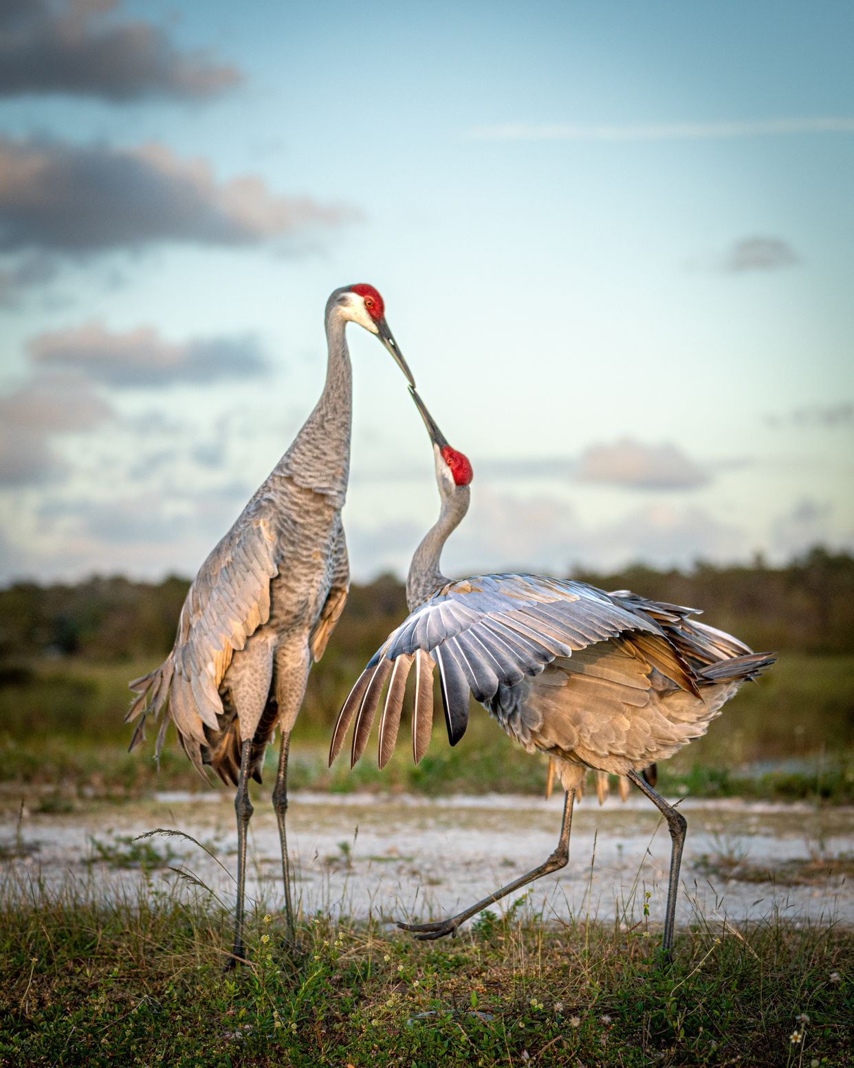 Arthur R. Marshall Loxahatchee National Wildlife Refuge