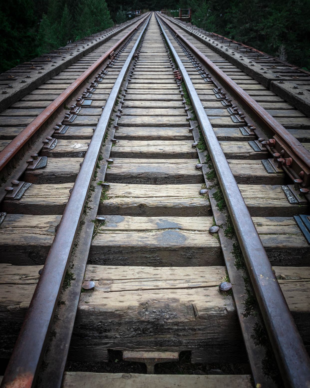 Niagara Trestle