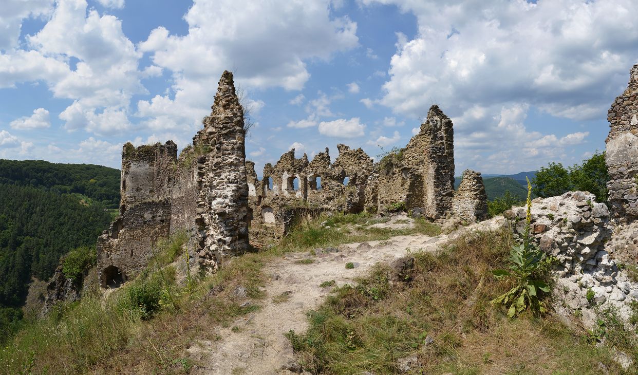 Šášovský hrad