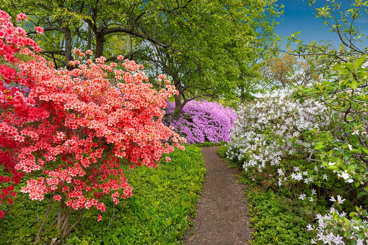 Ladew Topiary Gardens