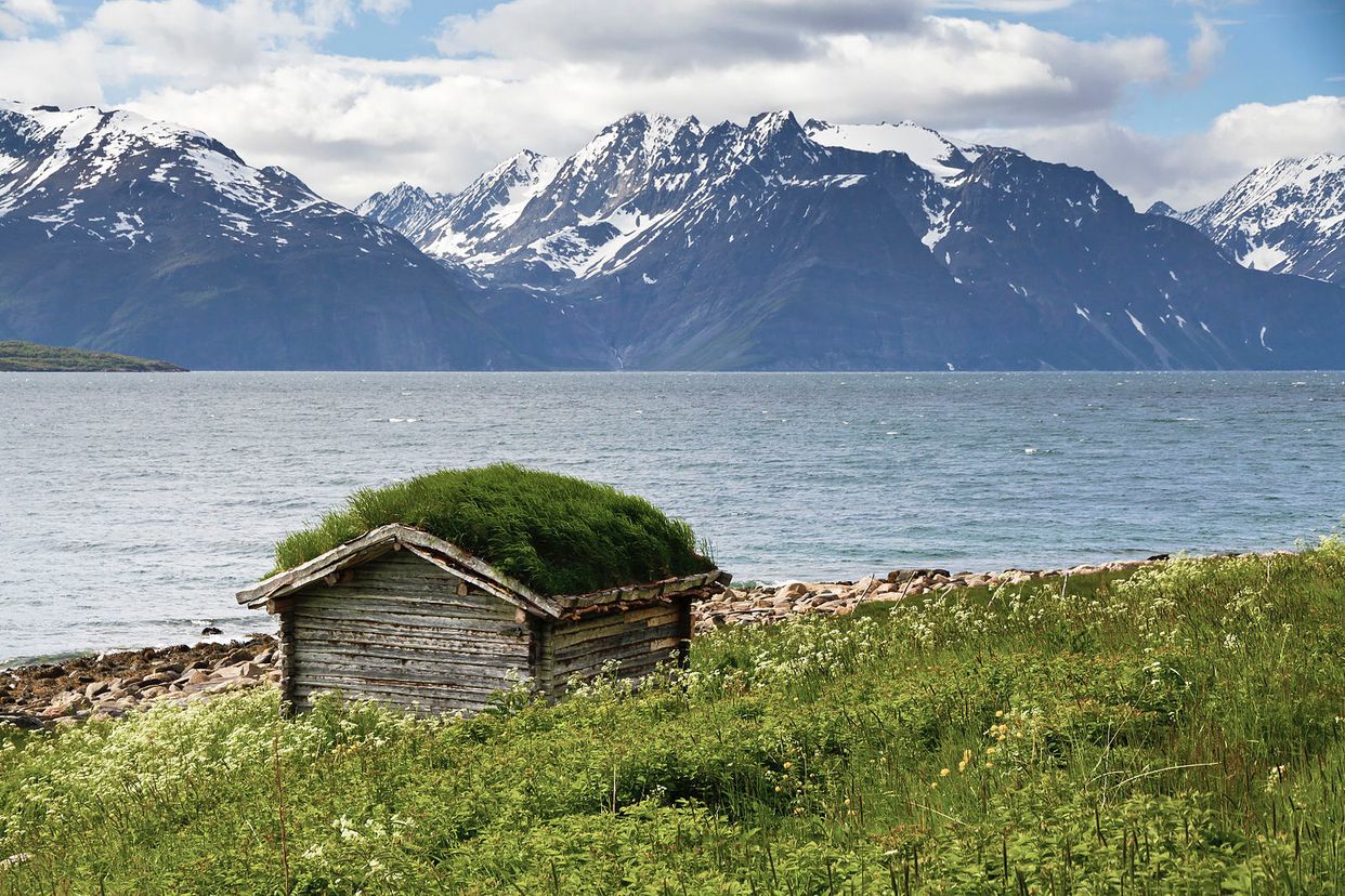 Abandoned Hut