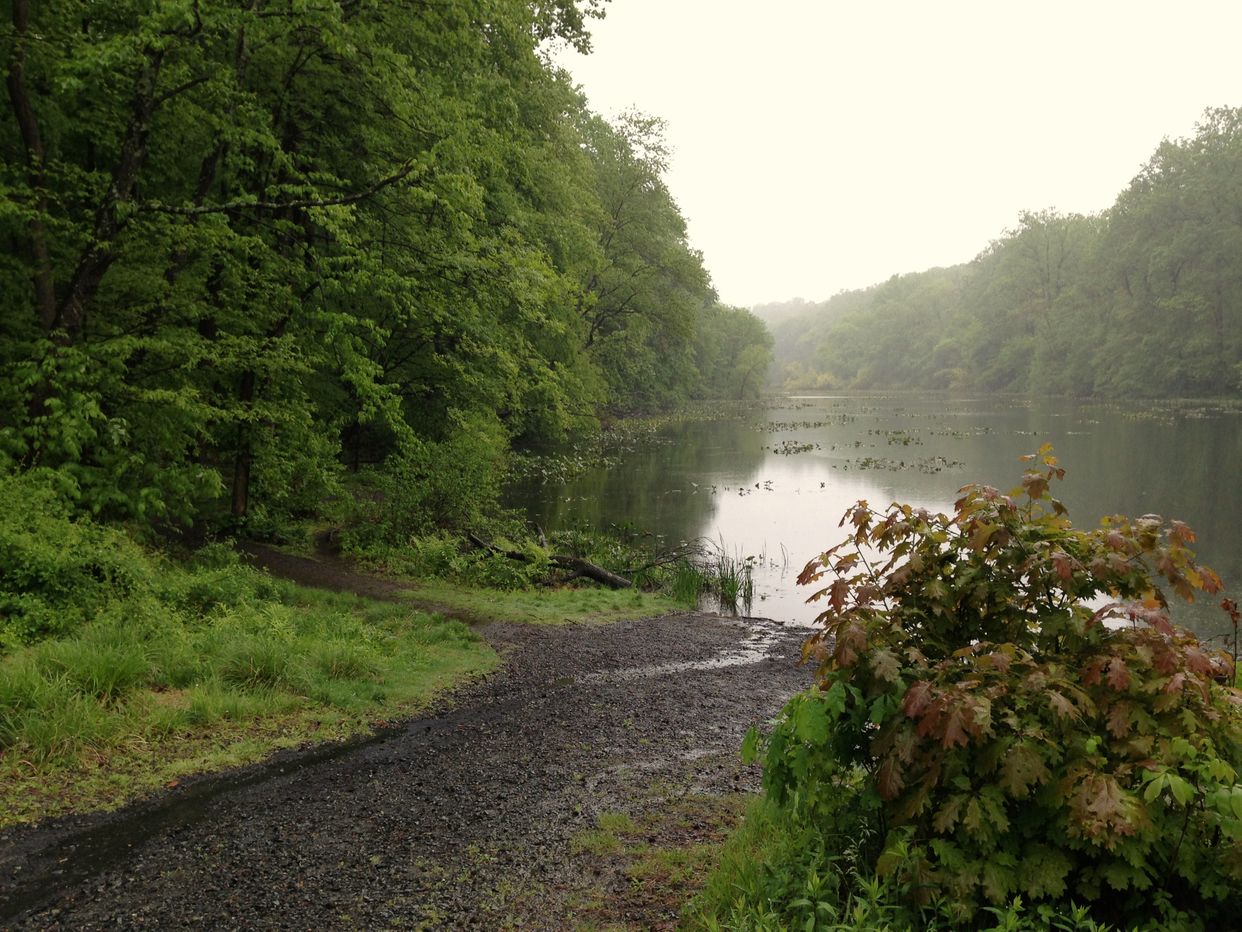 Lake Surprise