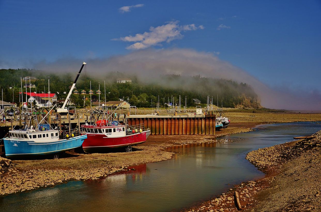 Alma Harbour