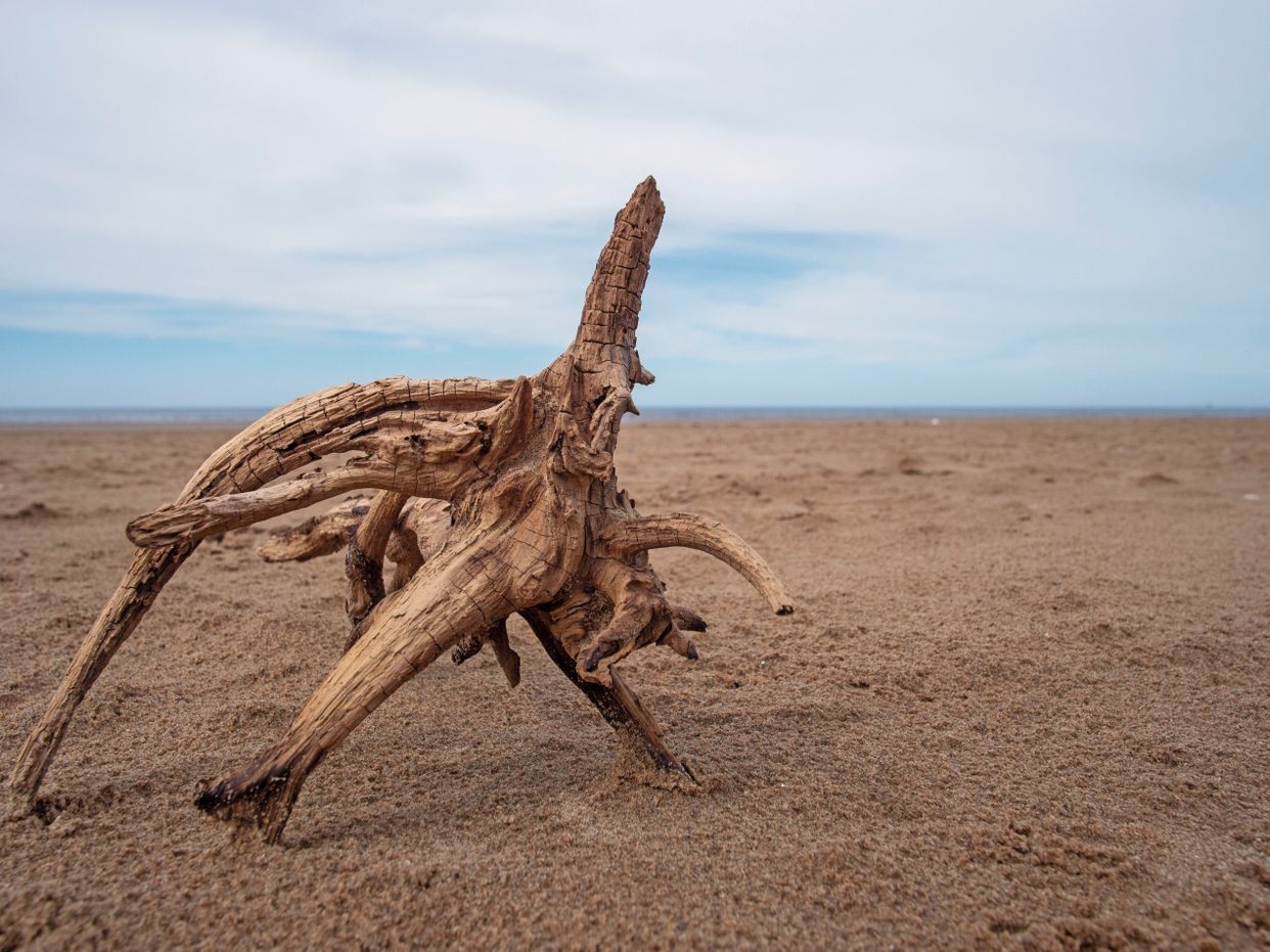 Formby Beach