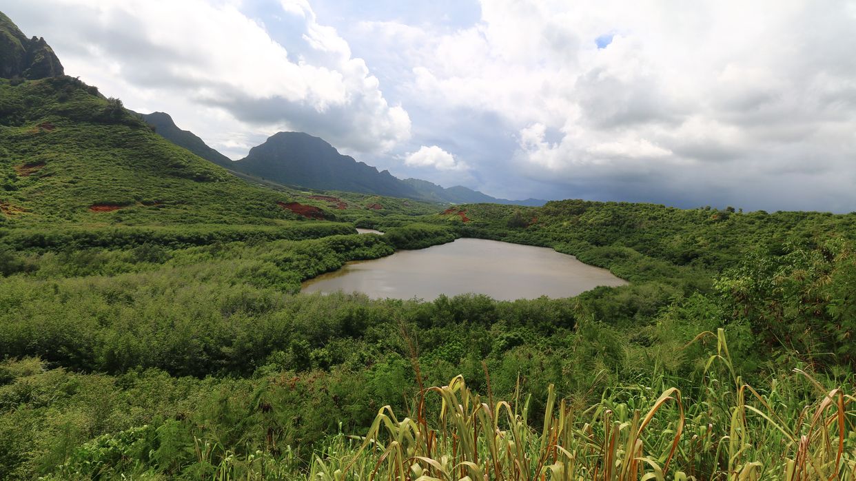 Menehune Fishpond 