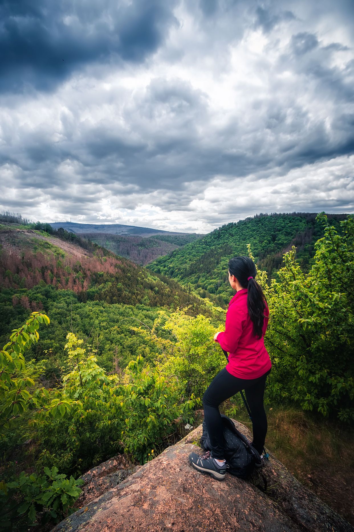 Harz Mountains View