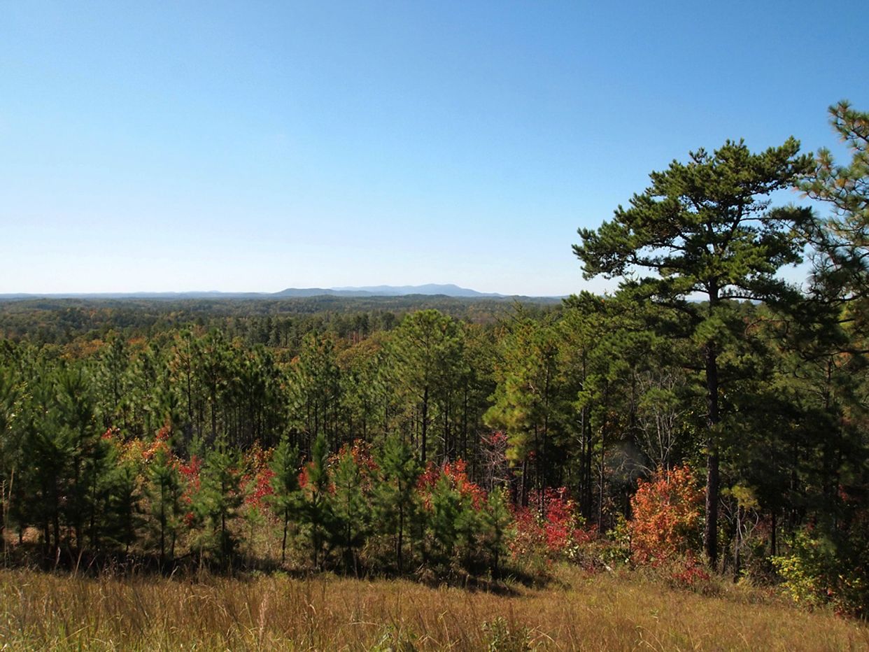 Cheaha State Park