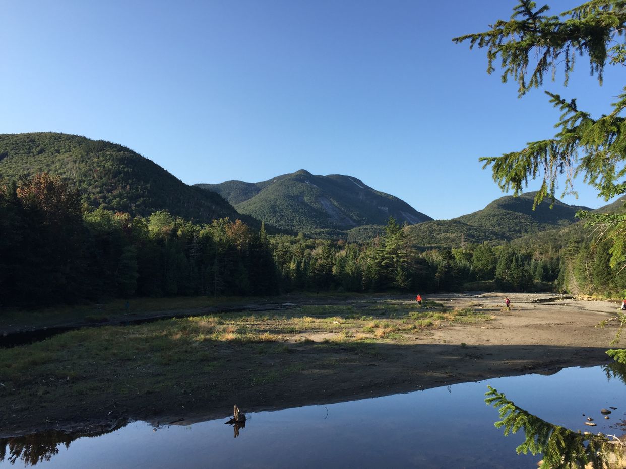 Marcy Brook