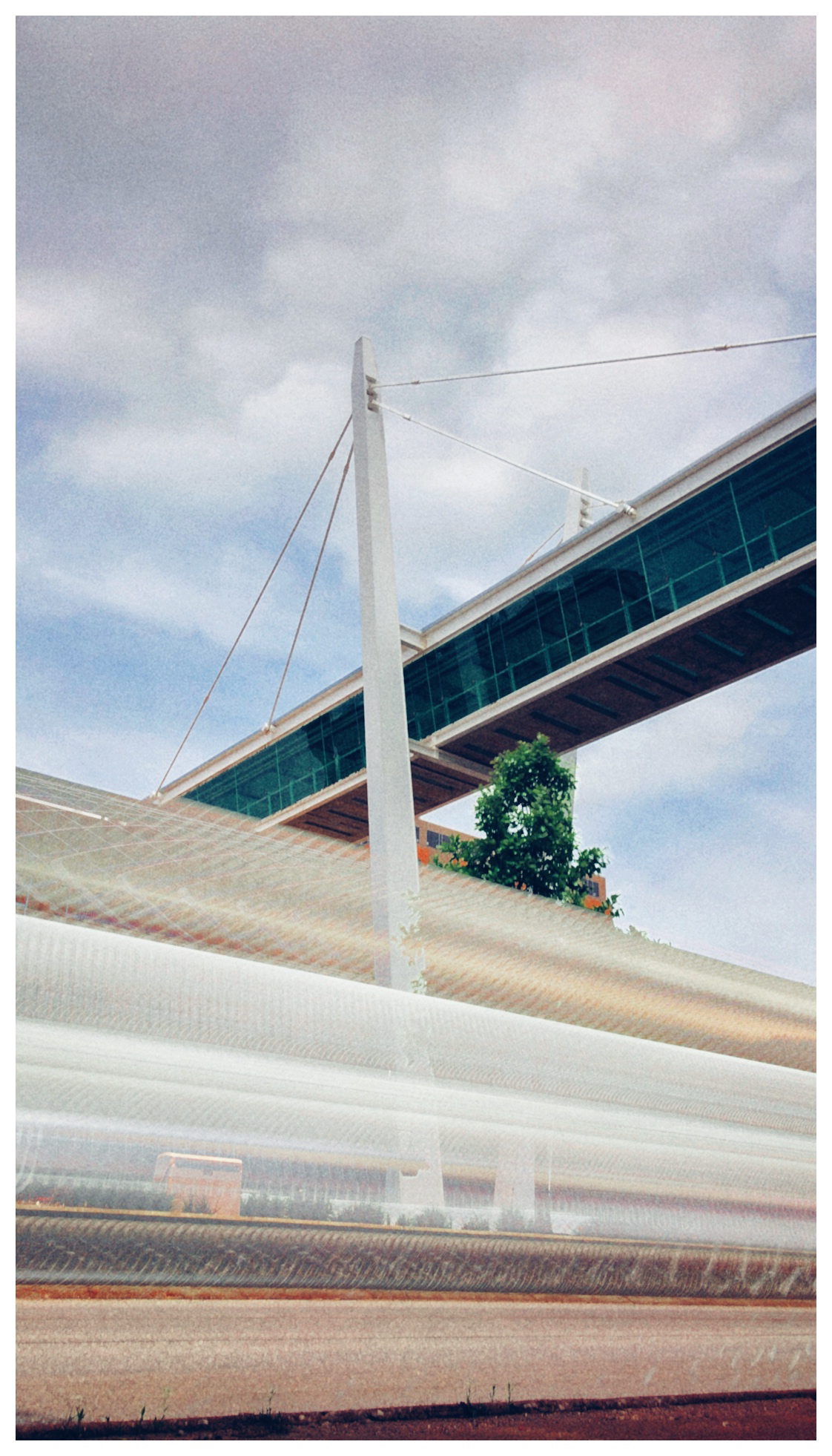 Skybridge — Photo by @lightcapturedimages