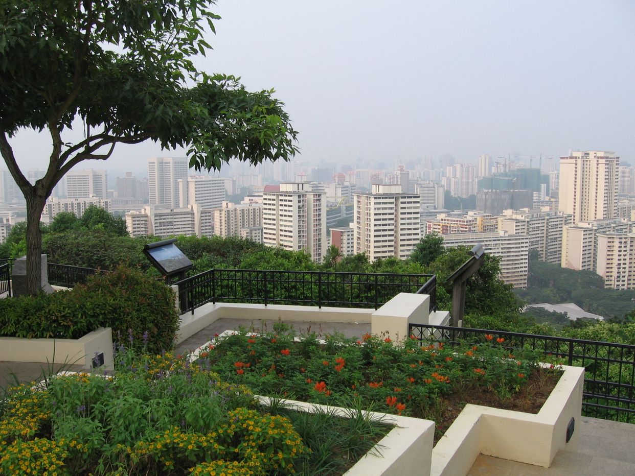 Mount Faber Hilltop View