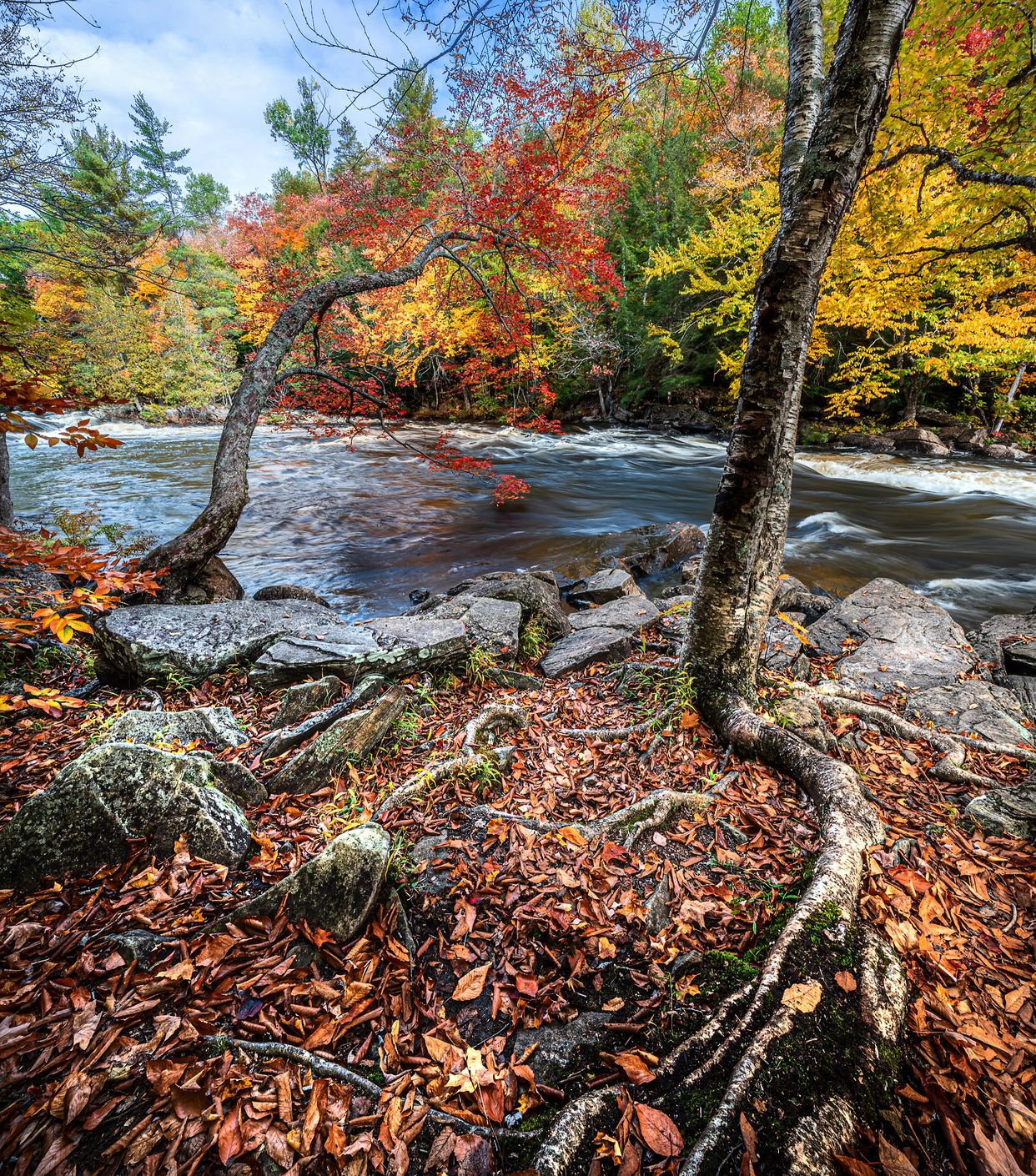Oxtongue Rapids