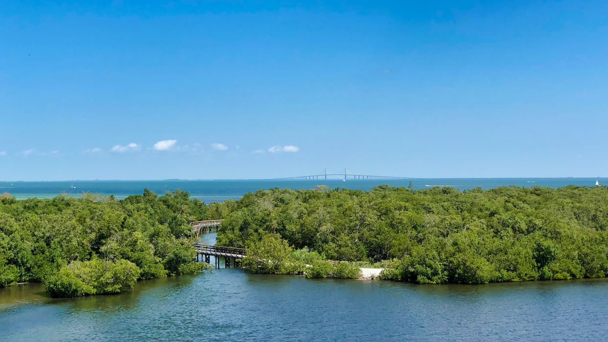 Robinson Preserve